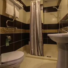 Гостиница Алива 3* Стандартный номер с различными типами кроватей фото 4