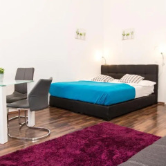 Апартаменты Checkvienna – Apartment Rossauer Lande Студия фото 8