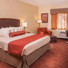 Отель Best Western Plus Inn Of Williams 2* Стандартный номер с различными типами кроватей фото 5