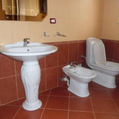 Отель Red Rose Guest house ванная