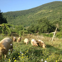 Отель Tenuta Valle Delle Ginestre Фонди детские мероприятия