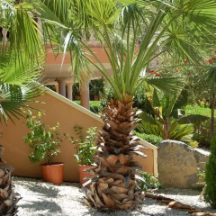 Hotel Restaurante La Plantación фото 4