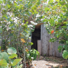 Отель Great Huts 3* Бунгало с различными типами кроватей фото 5