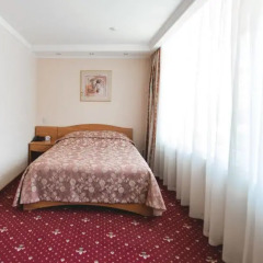 Гостиница Прикамье 3* Номер Премиум разные типы кроватей фото 7