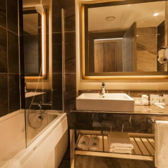 Holiday Inn Kayseri - Duvenonu 4* Стандартный номер с различными типами кроватей фото 3