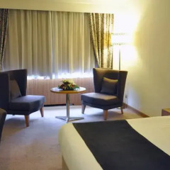 Surmeli Ankara Hotel комната для гостей фото 5