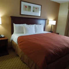 Отель Queens County Inn & Suites 2* Стандартный номер с различными типами кроватей фото 4