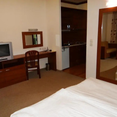 Апартаменты Apartment Pere Toshev Bansko Студия фото 5