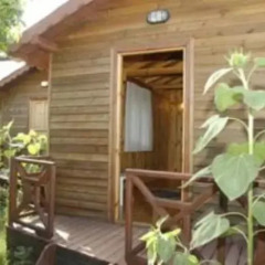 Changa Hotel Бунгало с различными типами кроватей фото 3