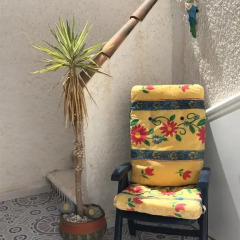 Отель La Casa Blanca Рохалес спа