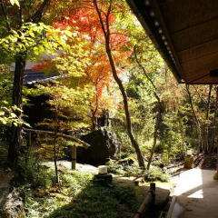 Отель Ryokan Kono-Yu Минамиогуни фото 3
