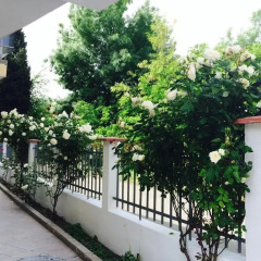 Отель Black Sea View Apartments Болгария, Равда - отзывы, цены и фото номеров - забронировать отель Black Sea View Apartments онлайн