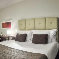Bourbon Alphaville Business Hotel 3* Номер Премьер с двуспальной кроватью фото 3