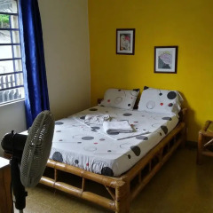 Iguana Hostel Cali комната для гостей фото 2