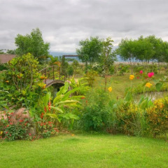 Отель Maekok River Village Resort