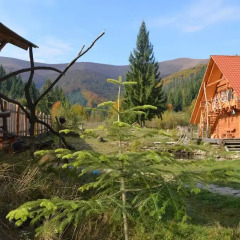 Гостиница Domik v Gorakh Guest House Украина, Поляна - отзывы, цены и фото номеров - забронировать гостиницу Domik v Gorakh Guest House онлайн детские мероприятия
