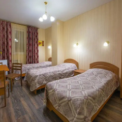 Мини-отель Глобус Номер Эконом с разными типами кроватей фото 3