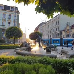 Отель Pokoje gościnne przy Ogrodzie Staromiejskim фото 7