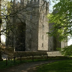 Отель Bunratty Ashgrove House Bed & Breakfast спортивное сооружение
