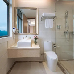 Vienna International Hotel Shenzhen Diwang South Bao'an Road Шэньчжэнь ванная