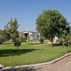 Отель Alojamiento Cortijo el Caserio фото 8