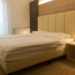Отель Guesthouse Aleš комната для гостей