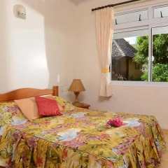 Отель Hitimoana Villa Tahiti Французская Полинезия, Папеэте - отзывы, цены и фото номеров - забронировать отель Hitimoana Villa Tahiti онлайн комната для гостей фото 4