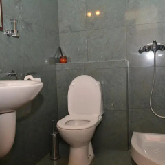 Отель Guesthouse Tianis 4* Люкс повышенной комфортности с различными типами кроватей фото 17