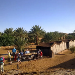 Отель Auberge Sahara Garden Марокко, Мерзуга - отзывы, цены и фото номеров - забронировать отель Auberge Sahara Garden онлайн пляж