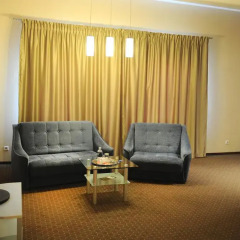 Отель Regina Hotel Литва, Каунас - отзывы, цены и фото номеров - забронировать отель Regina Hotel онлайн интерьер отеля фото 2