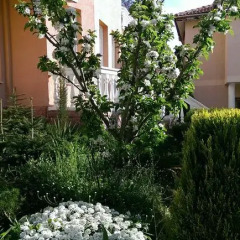 Aquarelle Hotel & Villas фото 8