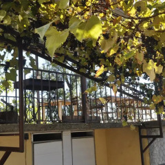Гостиница Azanta Guest House фото 10