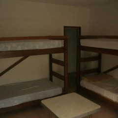 Lion Hostel Кровать в женском общем номере