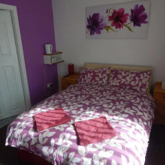 Отель Llanryan Guest House комната для гостей фото 3