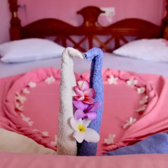 Отель Blue Eyes Inn Номер Делюкс с различными типами кроватей фото 9