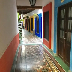 Отель Villa Serena Centro Historico 3* Апартаменты фото 21