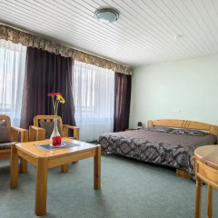 Hotel Mezaparks комната для гостей фото 5