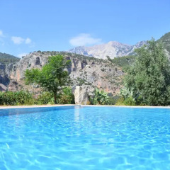 Pure Life Villa Турция, Фаралья - отзывы, цены и фото номеров - забронировать отель Pure Life Villa онлайн бассейн