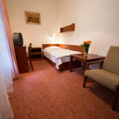 Отель Lázenská Lécebna Mánes 3* Номер Эконом с различными типами кроватей фото 6