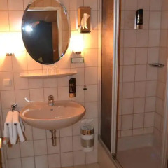 Hotel Walfisch 2* Стандартный номер с двуспальной кроватью фото 6