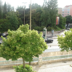 Апартаменты Gulbenkian Apartment