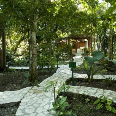 Hotel Jaguar Inn Tikal фото 14