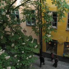 Castanea Old Town Hostel фото 11