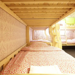 Tiger Lily Hostel Кровать в общем номере