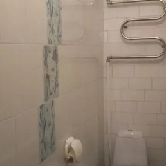 Апартаменты Apartment Kolomenskaya 11 ванная