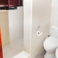 Отель Villa Angelia 3* Номер категории Эконом с различными типами кроватей фото 8