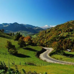 Отель Homestay Süllü Dağ Evi Гиресун фото 9
