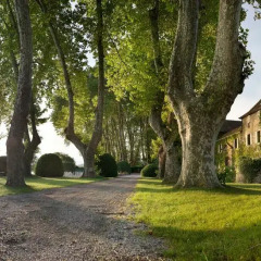 Отель Château de Coudrée Франция, Сье - отзывы, цены и фото номеров - забронировать отель Château de Coudrée онлайн фото 3