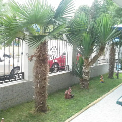 Отель Guest House Dani