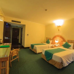 Green Hotel 4* Номер Делюкс с 2 отдельными кроватями фото 2
